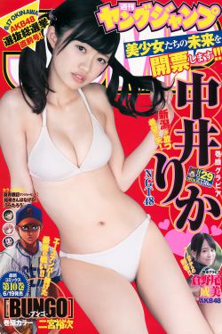 大欺诈师